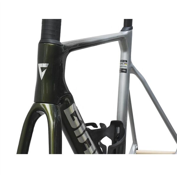 Khung xe đạp Giant Propel Advanced Pro Frame And Fork